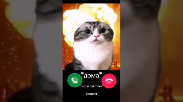 Когда выпил коктейль
В кафе и дома