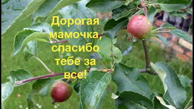 Мама, с Днем рождения!