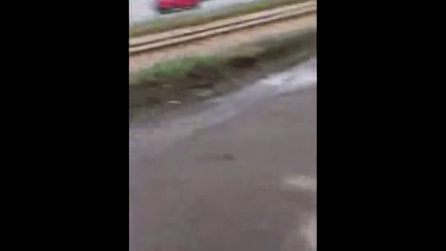 Харьков_ Це остановочки имени просроченного наркофюррера