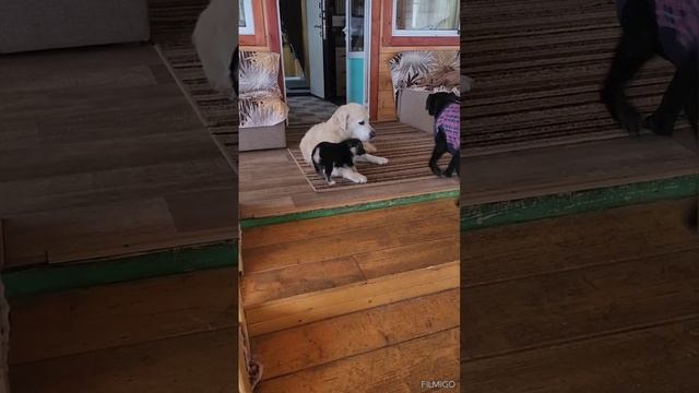 Каникулы начались !!!