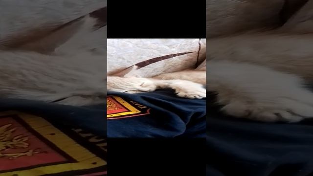 1000021581.mp4