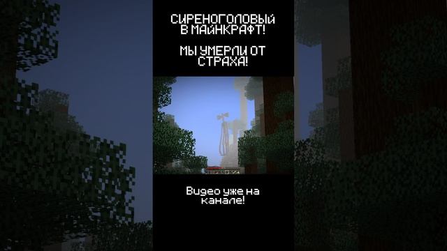 ОН ХОЧЕТ МЕНЯ УБИТЬ! СИРЕНОГОЛОВЫЙ В MINECRAFT! ч7 #shorts