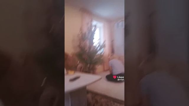 бред