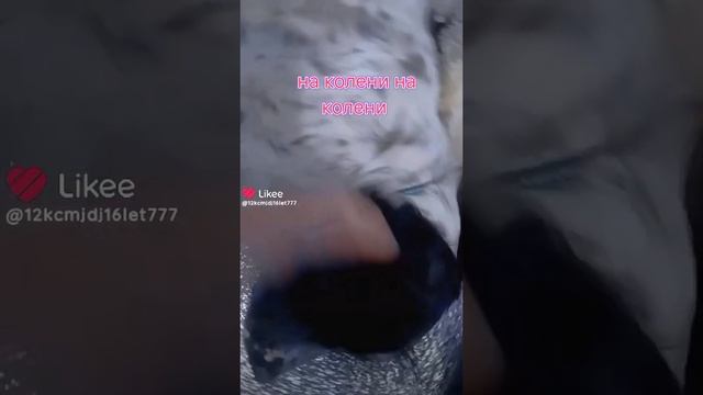 1000006630.mp4