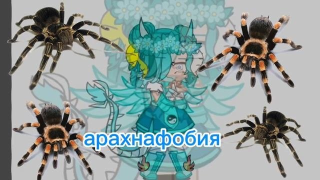 гача клуб