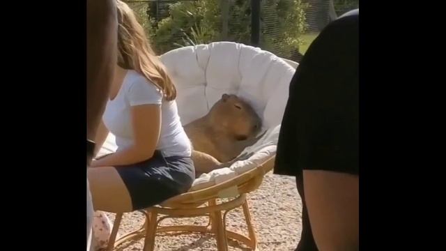 Спокойной ночи.