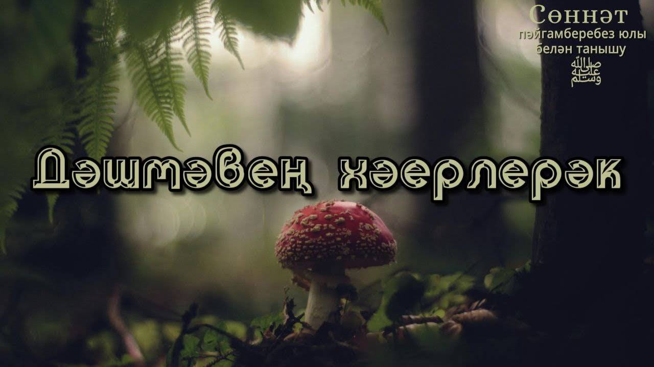 Дәшмәвең хәерлерәк | Рамил Гәйнетдинов