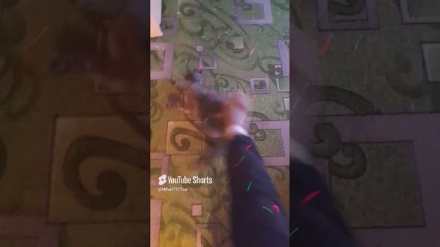 ТимаФей кайфует