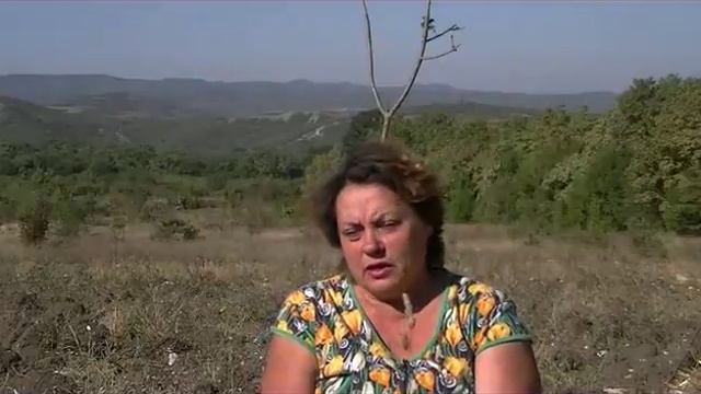 Мои земельно - скотские истории