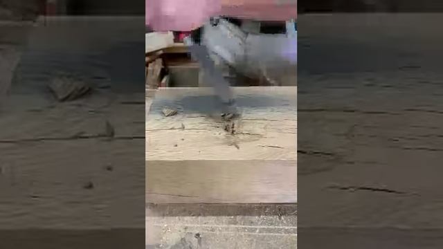 Metal in a tree