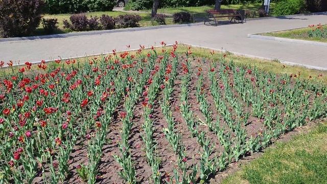 Барнаул 4К УльтраХД