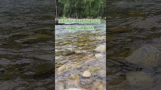 Пока мы живы ......