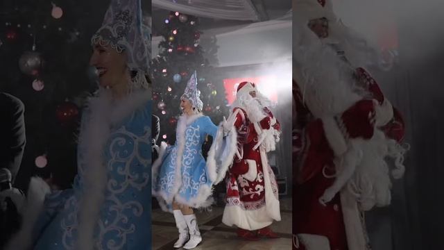 SDE корпоратив 29.12.2024