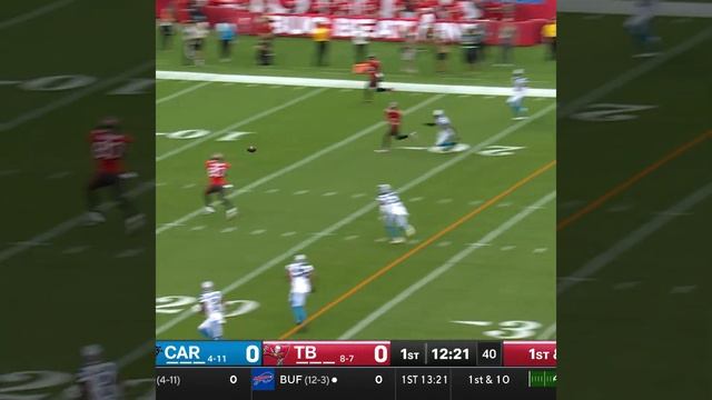 Payne Durham catches for a 31-yard Gain vs. Carolina Panthers