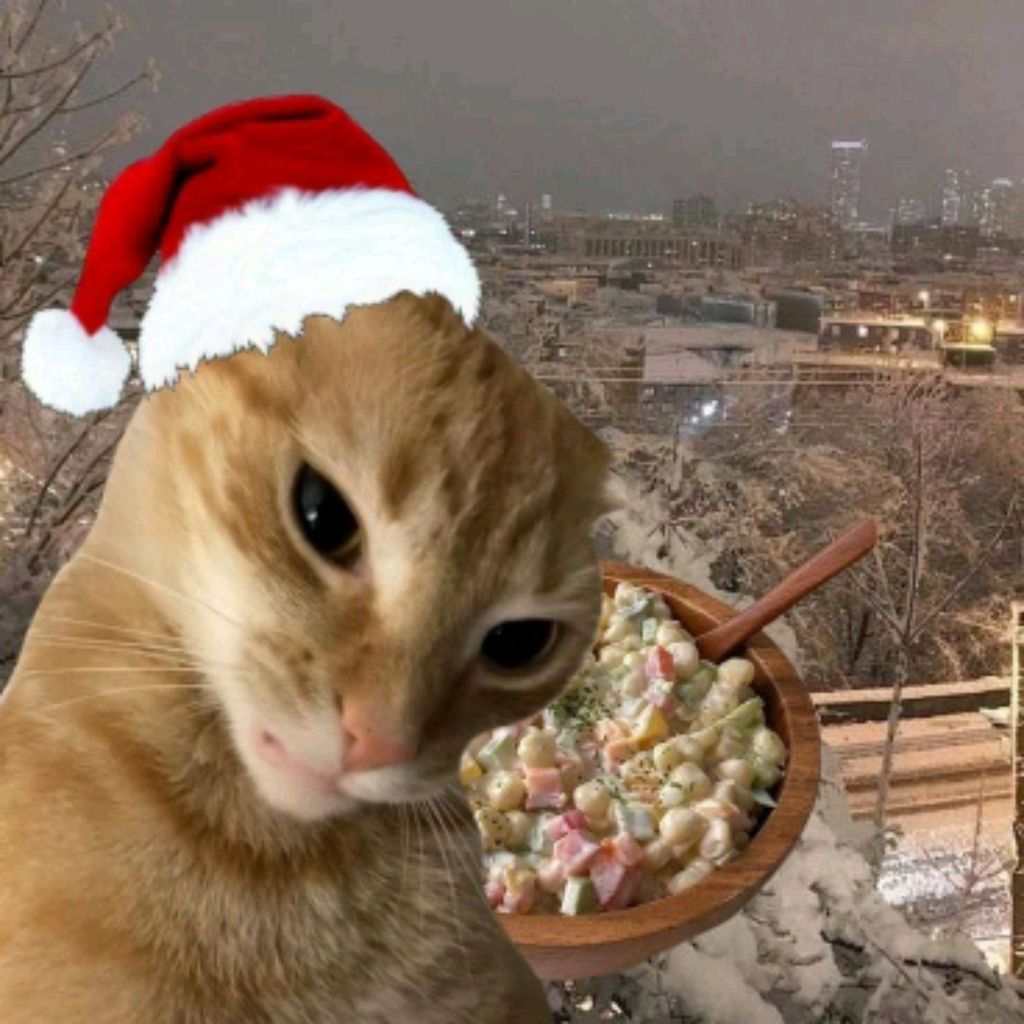 С НГ КРЧ ✨🎄😼