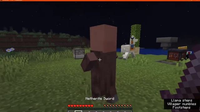 Villager Spawn Egg 1.16.1 Datapack Overview