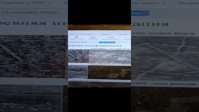 1000003387.mp4