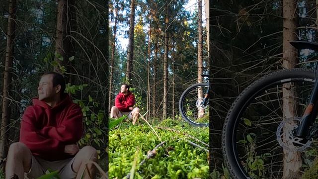 Почему я выбрал велосипед