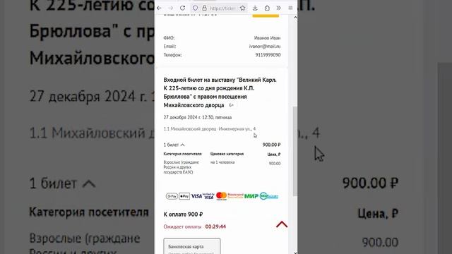 Как купить билет в Русский музей. Инструкция для посетителей