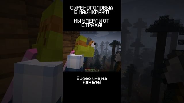 ОН ХОЧЕТ МЕНЯ УБИТЬ! СИРЕНОГОЛОВЫЙ В MINECRAFT! ч6 #shorts