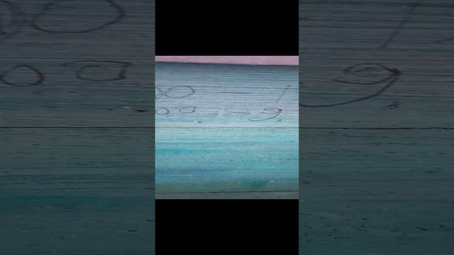 тепло пчёлы разбрелись