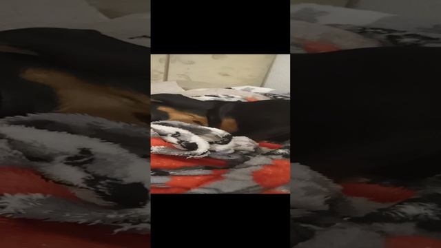 5d94a82d-83d9-4e41-818a-224981456c98-1_all_16778.mp4