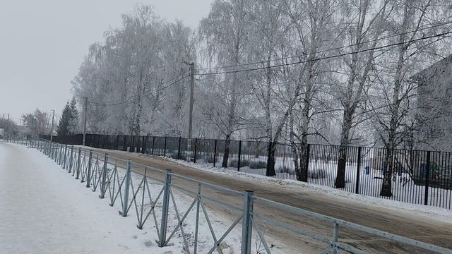 снежная природа, деревья в снегу, красивая деревенская зима, жизнь в деревне