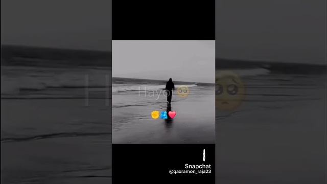 1000026569.mp4