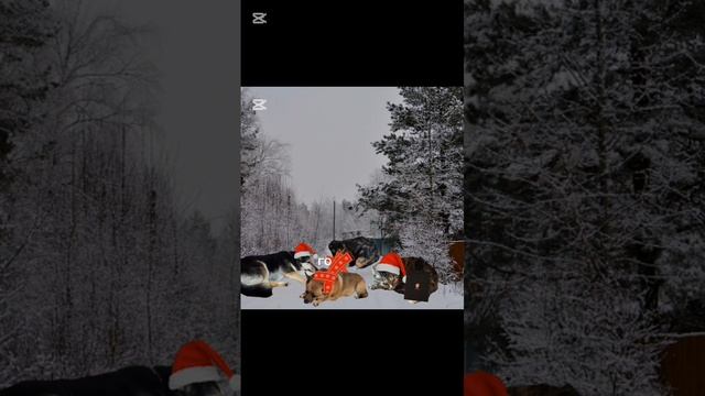 игра жизнь мурзи ❄