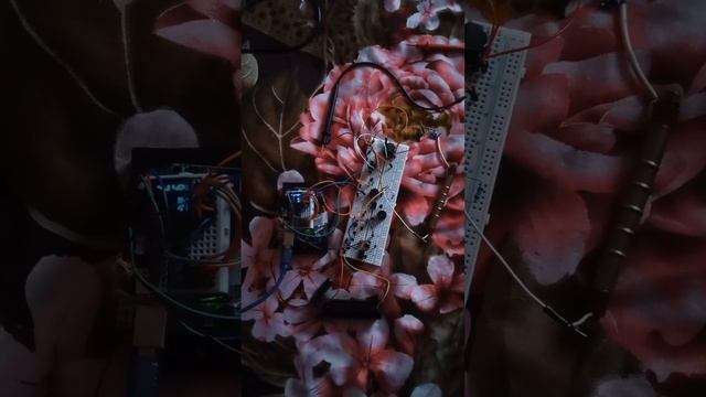 !!!!! САМОДЕЛЬНЫЙ ДОЗИМЕТР НА АРДУИНО!!!!ЭТО ВОЗМОЖНО?????#электроника#программирование#ардуино