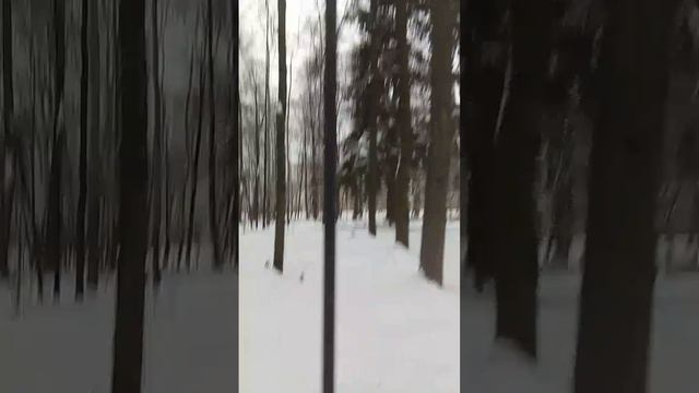VID-20241229-WA0018