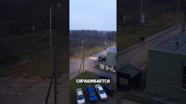 29 декабря.
#декабрь #утро #хасанстан #злойповар #выходной