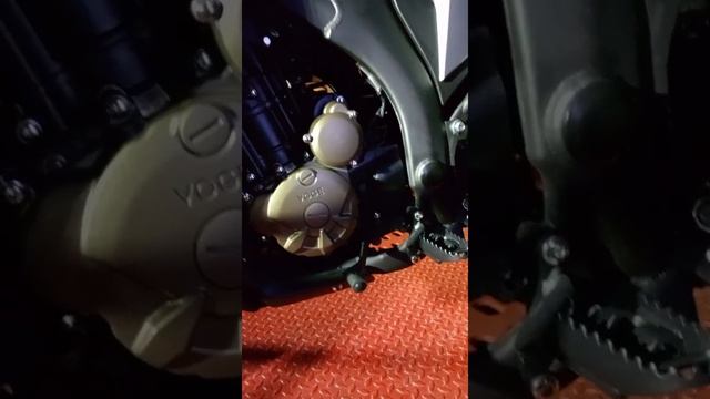 Купил себе VOGE Rally 300