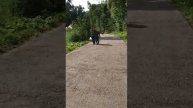 Горное солнце Алматы БЕСПРЕДЕЛ!