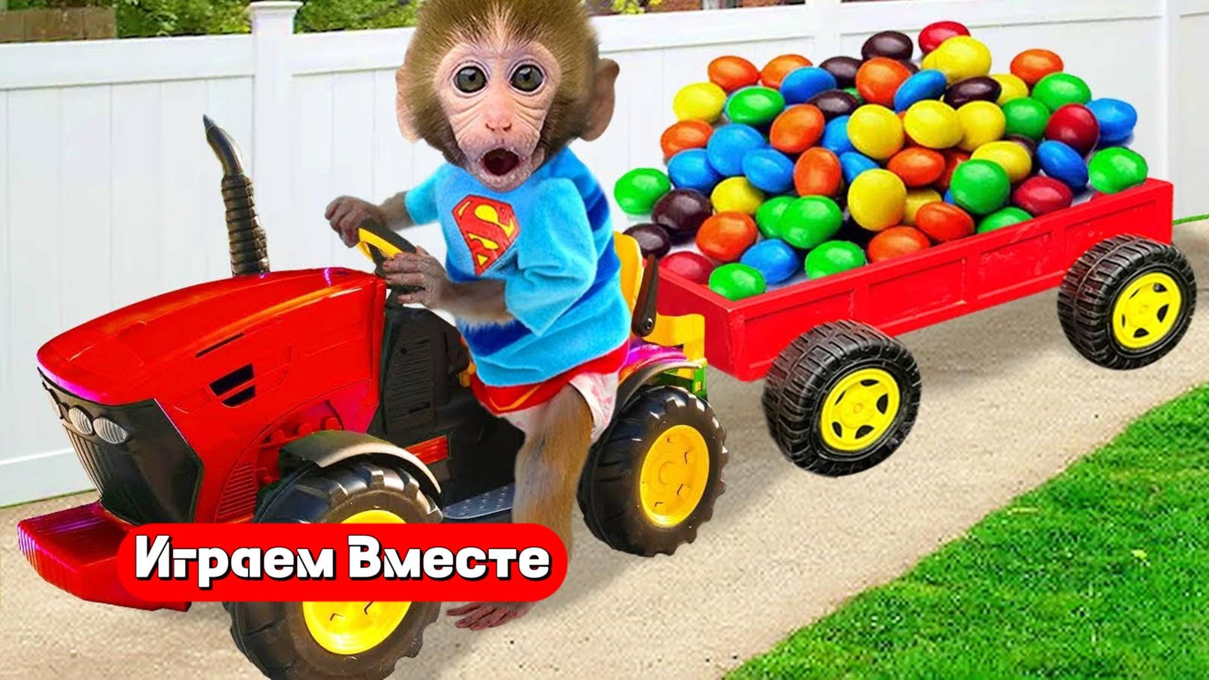 Приключения Обезьянки и друзей ! Играем с утенком и кушаем сладости 🐒 Трансляция для детей