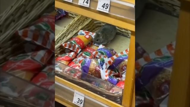 ТАЙНЫЙ ПОКУПАТЕЛЬ ТЕСТИРУЕТ УПАКОВКУ