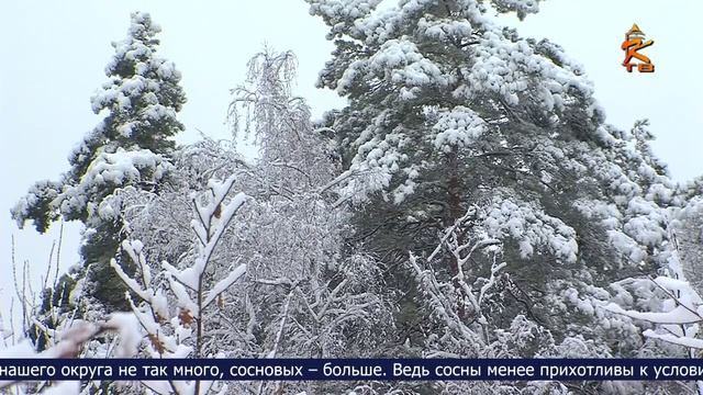 Из новогоднего выпуска Коломенского ТВ, декабрь 2021. «АО КОЛОМЕНСКОЕ ТВ (COLOMNA.RU)»
