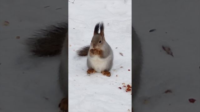 1000101251.mp4