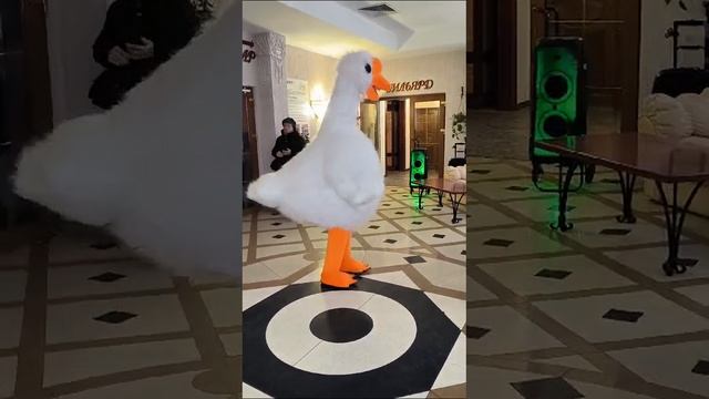 1000006655.mp4