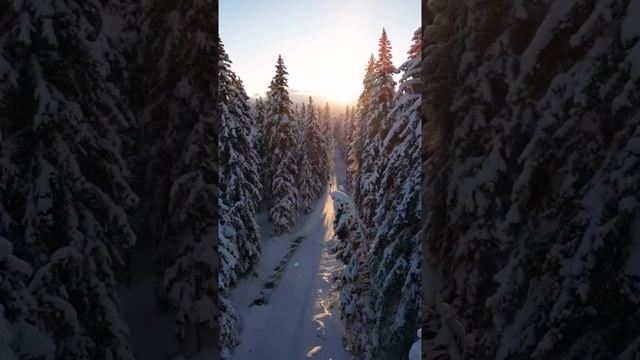 Зимнее настроение #26