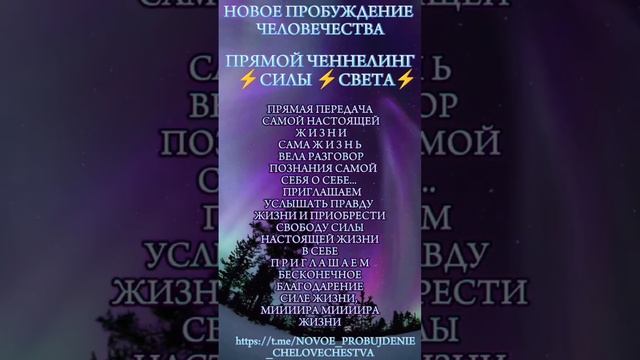 1000062824.mp4
