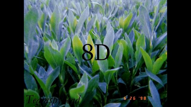 Edwin Ruys-Танцы 8D MUSIC