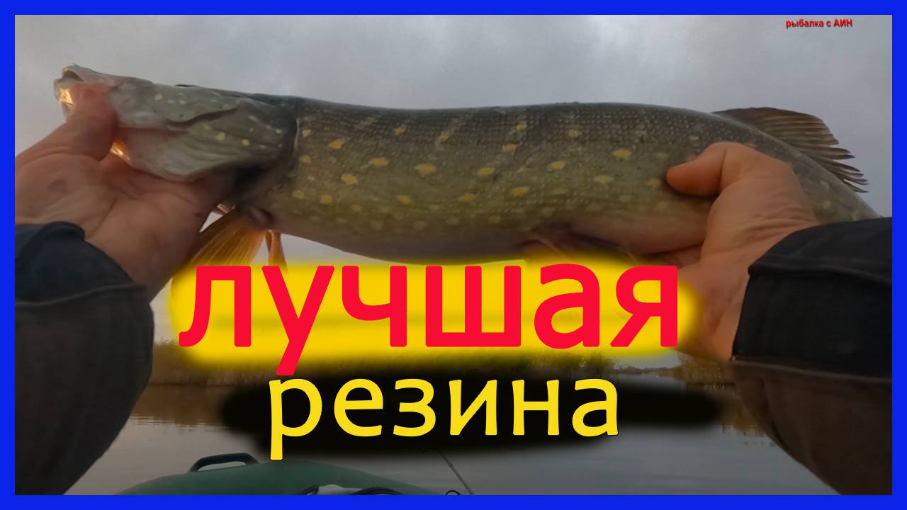 Щука, последний бросок надежды