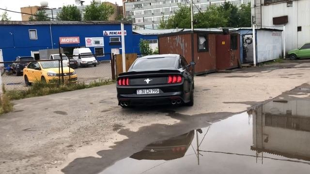 Mustang GT 5.0 2015г