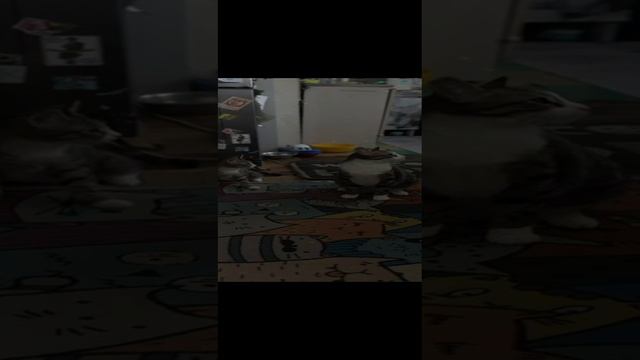 a7e36753-b78a-446d-b8dd-d343212c7930