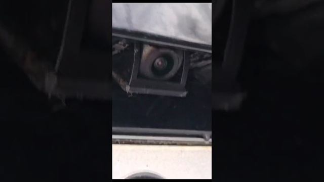 YouCut_20231105_173839236.mp4