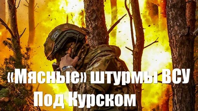 Под Курском ряд «мясных» штурмов ВСУ привял к их рекордным потерям