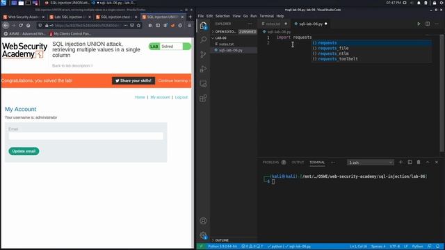 07. Lab 6 - SQL injection UNION attack, retrieving multiple values in a single column