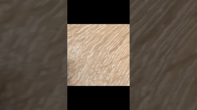 VID_20241229_203314.mp4