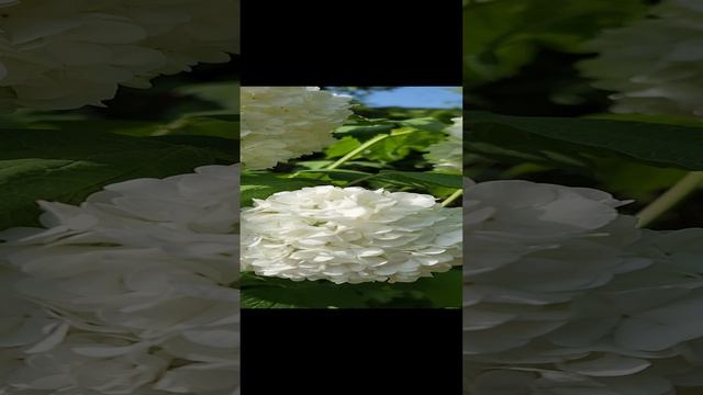 29-12-2024